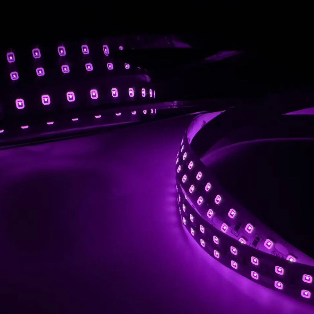 LED Lights
